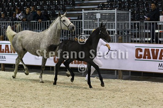 CA D ORO_MILANO_2010_SS3_8217.jpg